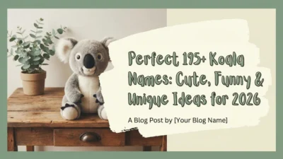 koala names